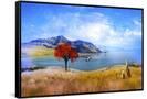 Canvas Black