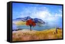 Canvas Black