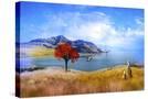 Stretched Canvas