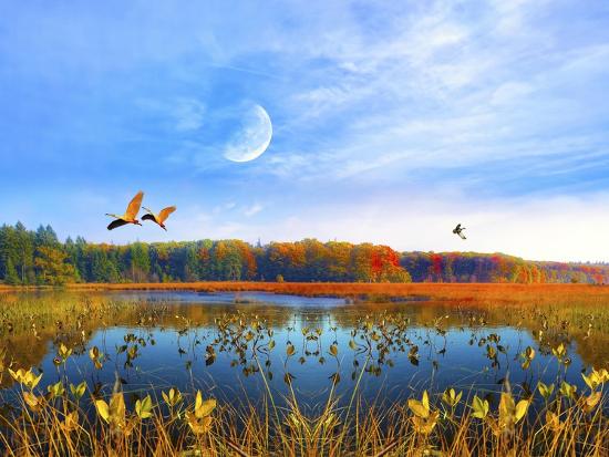 Giclee Print, , large