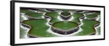 Black Frame