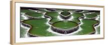 Brown Frame