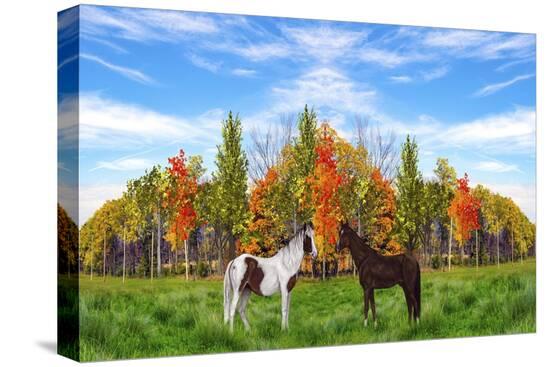 Stretched Canvas Print, , large