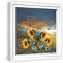 White Frame
