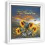 White Frame