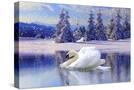 Stretched Canvas