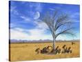 Stretched Canvas