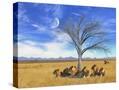 Stretched Canvas