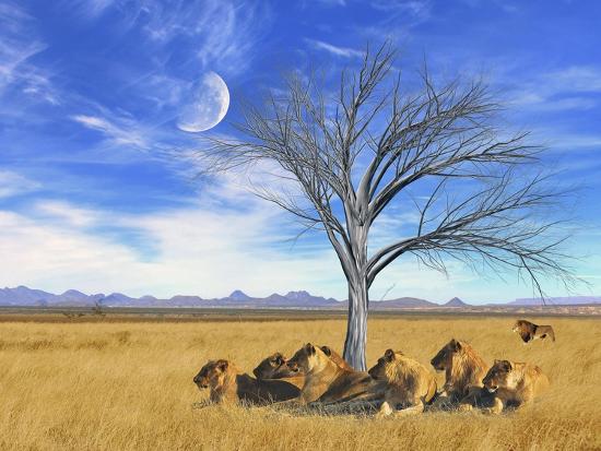 Premium Giclee Print, , large