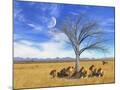 Wood Mount