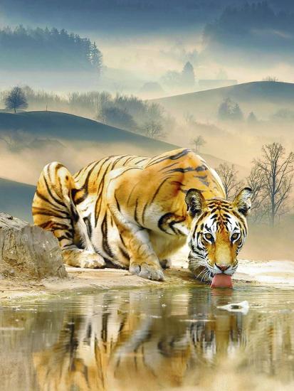 Premium Giclee Print, , large