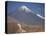 Atacama Desert and Volcan Licancabur, San Pedro De Atacama Region, Chile, South America-Robert Francis-Stretched Canvas