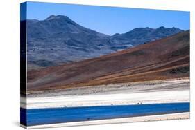 Atacama Desert, Chile and Bolivia-Françoise Gaujour-Stretched Canvas