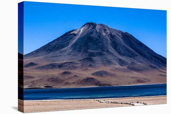 Atacama Desert, Chile and Bolivia-Françoise Gaujour-Stretched Canvas