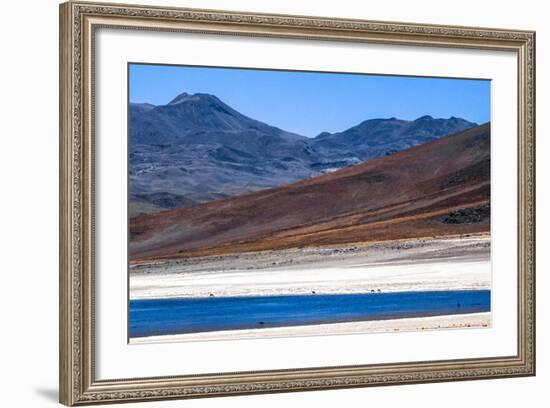 Atacama Desert, Chile and Bolivia-Françoise Gaujour-Framed Photographic Print