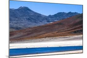 Atacama Desert, Chile and Bolivia-Françoise Gaujour-Mounted Photographic Print