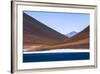 Atacama Desert, Chile and Bolivia-Françoise Gaujour-Framed Photographic Print
