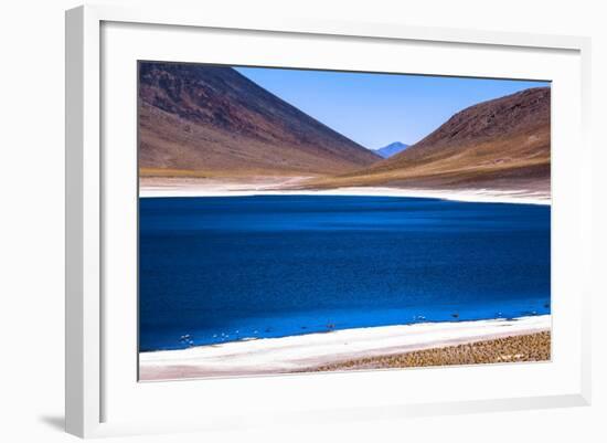 Atacama Desert, Chile and Bolivia-Françoise Gaujour-Framed Photographic Print