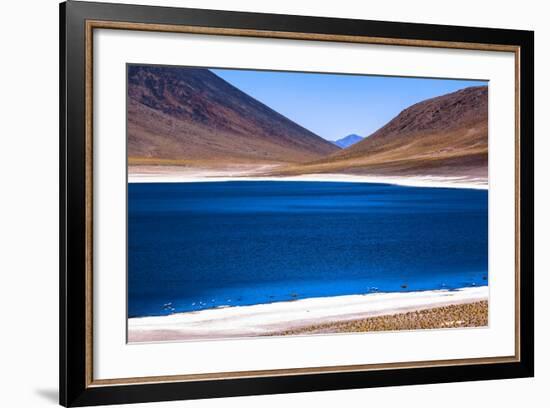 Atacama Desert, Chile and Bolivia-Françoise Gaujour-Framed Photographic Print