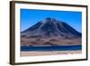 Atacama Desert, Chile and Bolivia-Françoise Gaujour-Framed Photographic Print