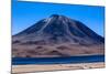Atacama Desert, Chile and Bolivia-Françoise Gaujour-Mounted Photographic Print