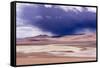 Atacama Desert, Chile-Peter Groenendijk-Framed Stretched Canvas