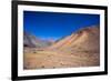 Atacama Desert, Chile-Peter Groenendijk-Framed Photographic Print