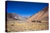 Atacama Desert, Chile-Peter Groenendijk-Stretched Canvas