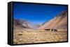 Atacama Desert, Chile-Peter Groenendijk-Framed Stretched Canvas