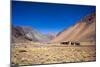 Atacama Desert, Chile-Peter Groenendijk-Mounted Photographic Print