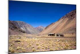 Atacama Desert, Chile-Peter Groenendijk-Mounted Photographic Print