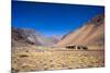 Atacama Desert, Chile-Peter Groenendijk-Mounted Photographic Print