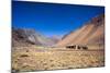 Atacama Desert, Chile-Peter Groenendijk-Mounted Photographic Print