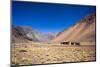 Atacama Desert, Chile-Peter Groenendijk-Mounted Premium Photographic Print