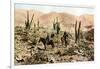 Atacama Desert, Northern Chile, South America, C1923-null-Framed Giclee Print