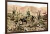 Atacama Desert, Northern Chile, South America, C1923-null-Framed Giclee Print