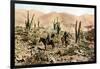 Atacama Desert, Northern Chile, South America, C1923-null-Framed Giclee Print