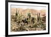 Atacama Desert, Northern Chile, South America, C1923-null-Framed Giclee Print