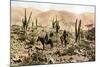 Atacama Desert, Northern Chile, South America, C1923-null-Mounted Giclee Print