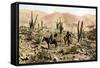 Atacama Desert, Northern Chile, South America, C1923-null-Framed Stretched Canvas