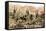 Atacama Desert, Northern Chile, South America, C1923-null-Framed Stretched Canvas