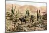 Atacama Desert, Northern Chile, South America, C1923-null-Mounted Giclee Print