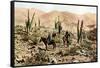 Atacama Desert, Northern Chile, South America, C1923-null-Framed Stretched Canvas