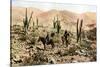 Atacama Desert, Northern Chile, South America, C1923-null-Stretched Canvas