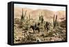 Atacama Desert, Northern Chile, South America, C1923-null-Framed Stretched Canvas
