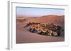 Atacama Desert, Oasis of Huacachina, Peru-sunsinger-Framed Photographic Print