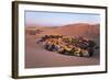 Atacama Desert, Oasis of Huacachina, Peru-sunsinger-Framed Photographic Print