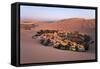 Atacama Desert, Oasis of Huacachina, Peru-sunsinger-Framed Stretched Canvas