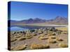 Atacama Desert-Guido Cozzi-Stretched Canvas