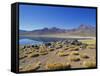 Atacama Desert-Guido Cozzi-Framed Stretched Canvas